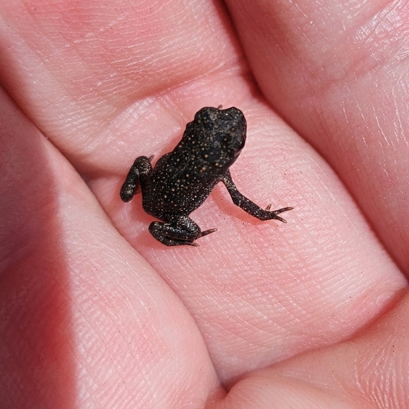 Meet your Posher, Hannah - Picture 3 of 13